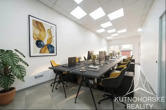 Prodej komerční nemovitosti, Kutná Hora, Zvěřinova, 318 m2