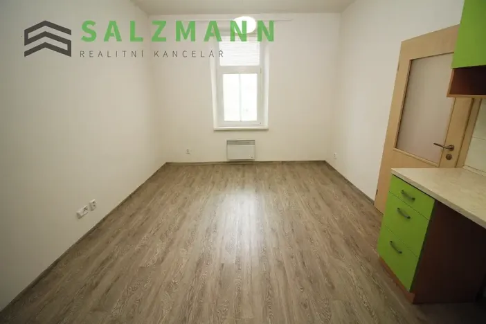 Pronájem bytu 2+kk, Plzeň, Úslavská, 38 m2