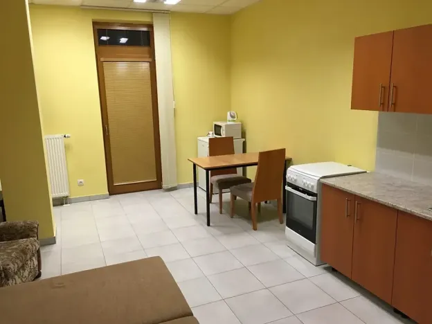 Pronájem bytu 1+kk, Písek, Pražská, 31 m2