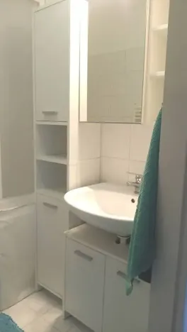 Pronájem bytu 1+kk, Brno, Skopalíkova, 25 m2