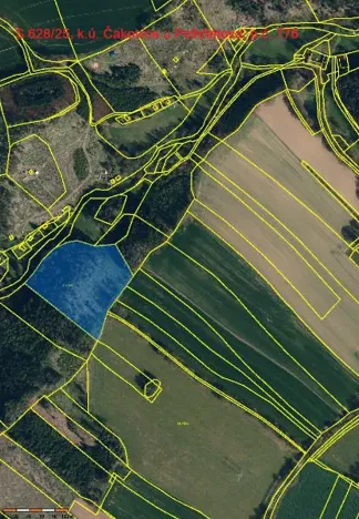 Prodej lesa, Pelhřimov, 14638 m2