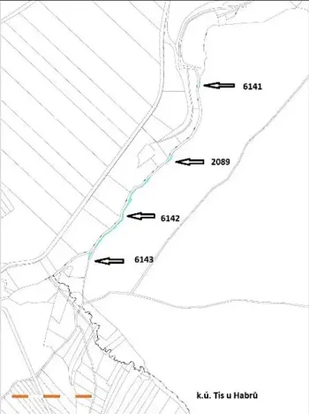 Prodej lesa, Tis, 906 m2