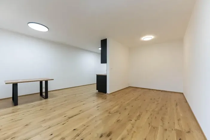 Pronájem bytu 1+kk, Praha - Nusle, Muzikova, 50 m2