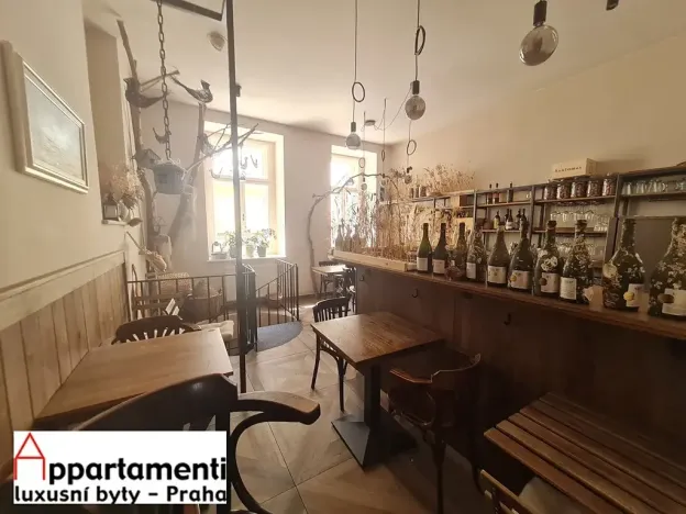 Pronájem restaurace, Praha - Staré Město, Veleslavínova, 150 m2