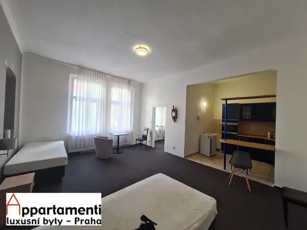 Pronájem bytu 2+kk, Plzeň, Bedřicha Smetany, 64 m2