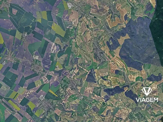 Prodej lesa, Bošovice, 3277 m2