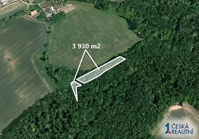 Prodej podílu lesa, Malhotice, 1965 m2