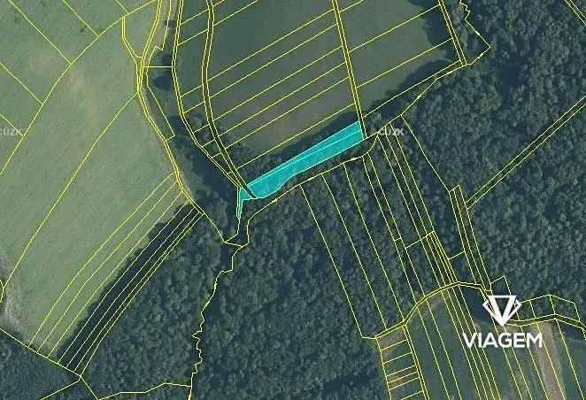 Prodej podílu lesa, Malhotice, 1965 m2