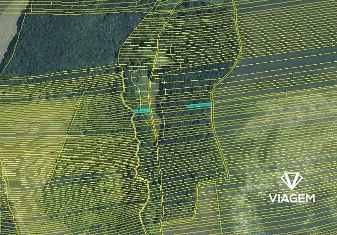 Prodej lesa, Hradčovice, 805 m2