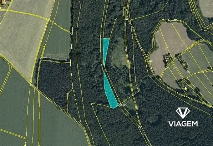 Prodej podílu lesa, Sudislav nad Orlicí, 2486 m2