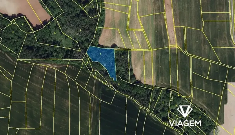 Prodej podílu lesa, Pozdeň, 2404 m2