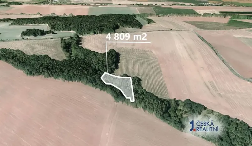 Prodej podílu lesa, Pozdeň, 2404 m2