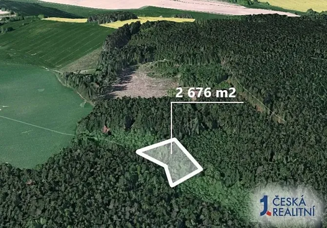 Prodej podílu lesa, Chýstovice, 669 m2