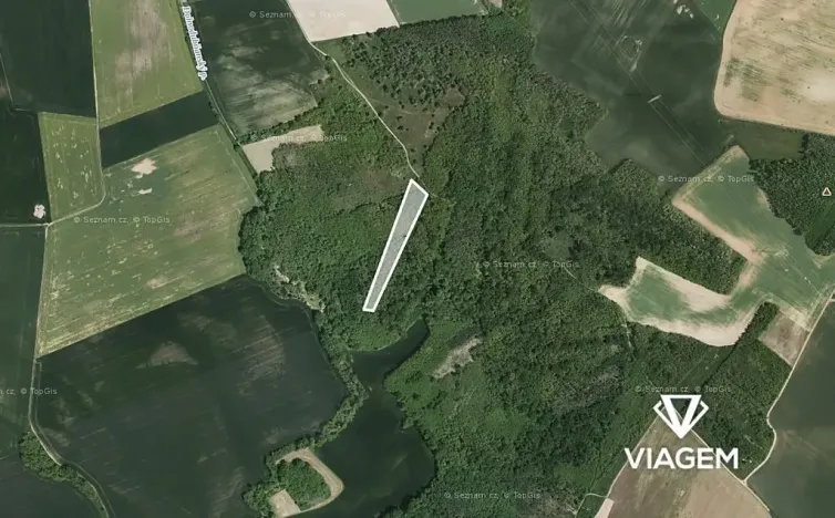 Prodej podílu lesa, Rybníky, 2317 m2