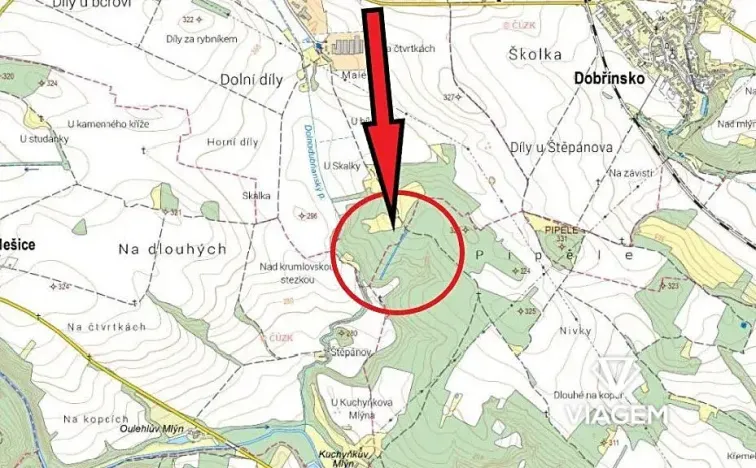 Prodej podílu lesa, Rybníky, 2317 m2