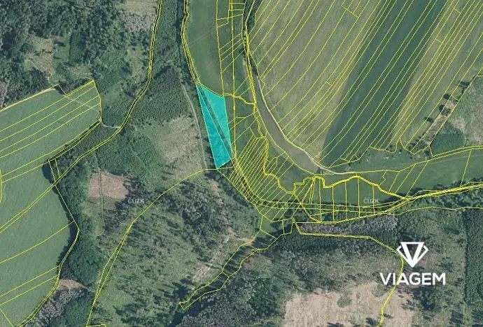 Prodej podílu lesa, Velká Bíteš, 1431 m2