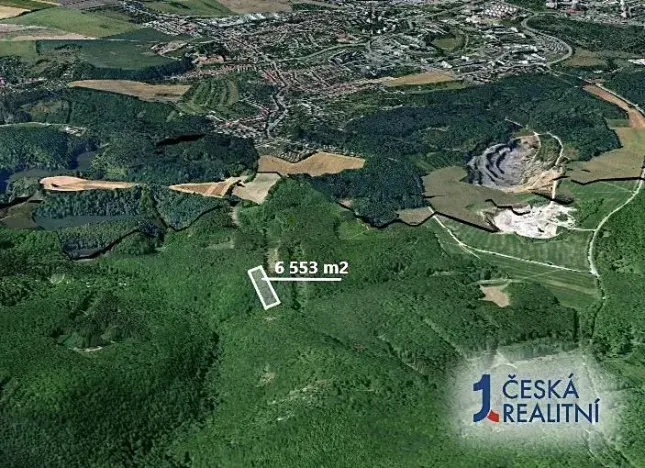 Prodej podílu lesa, Brno, 1092 m2