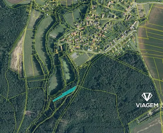 Prodej podílu lesa, Chrast, 1007 m2