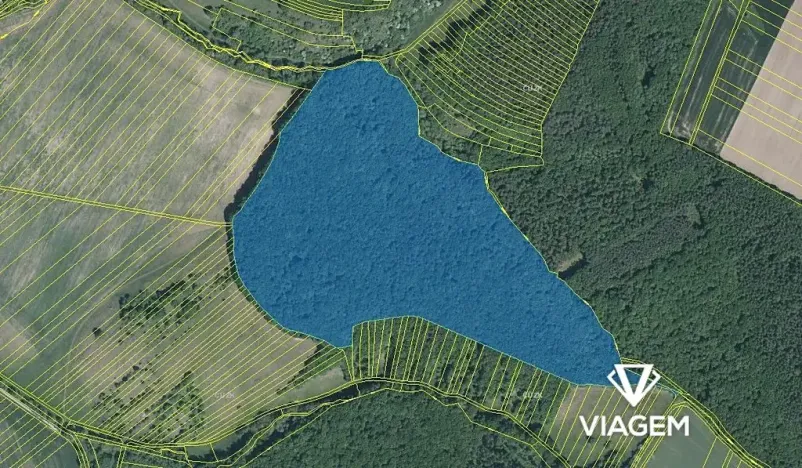 Prodej podílu lesa, Pašovice, 28955 m2