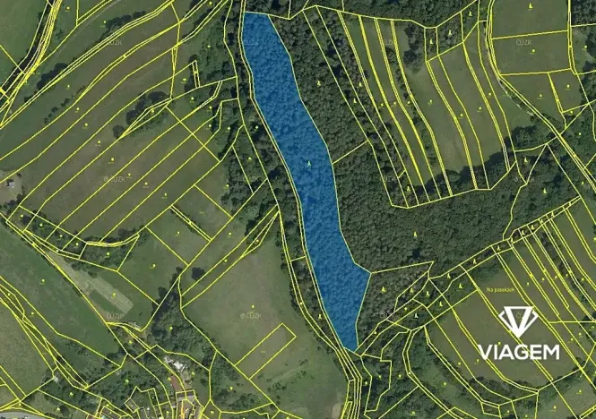 Prodej podílu lesa, Vranová Lhota, 1741 m2