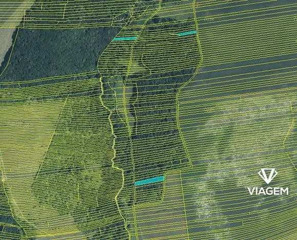 Prodej podílu lesa, Hradčovice, 985 m2