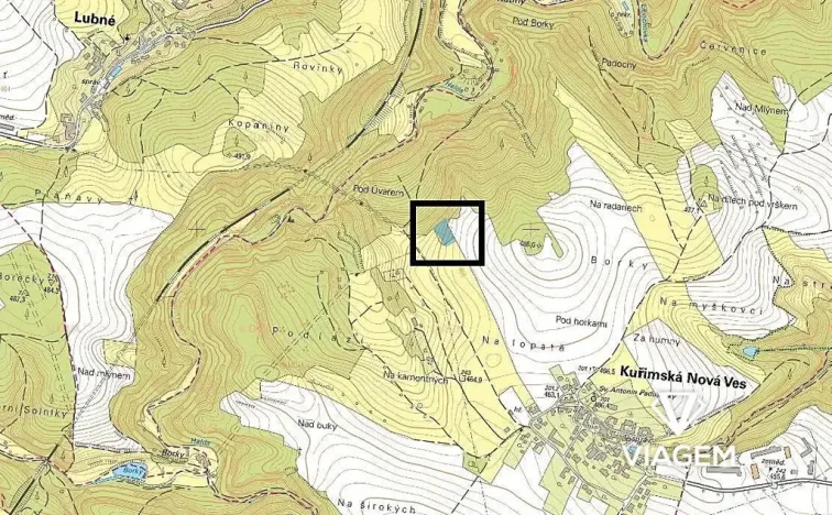 Prodej podílu lesa, Kuřimská Nová Ves, 1166 m2
