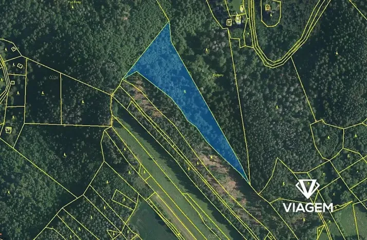 Prodej podílu lesa, Kuřimská Nová Ves, 8824 m2