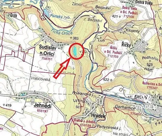 Prodej podílu lesa, Sudislav nad Orlicí, 21329 m2