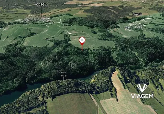 Prodej podílu lesa, Kosov, 548 m2