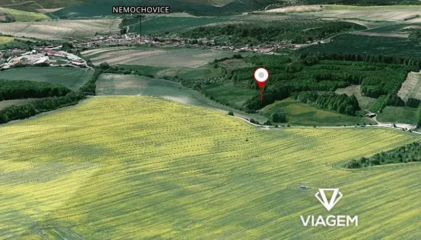 Prodej podílu lesa, Nemochovice, 624 m2