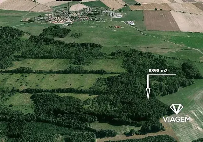 Prodej lesa, Borkovice, 8398 m2