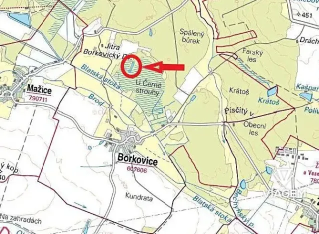 Prodej lesa, Borkovice, 8398 m2