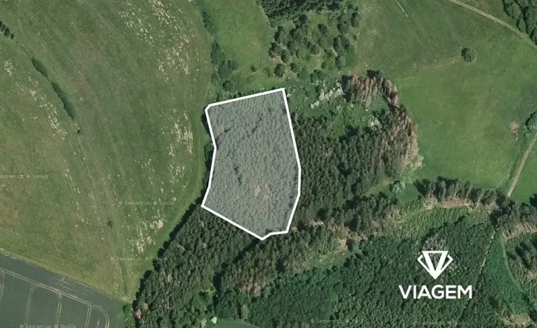 Prodej podílu lesa, Radošovice, 2390 m2