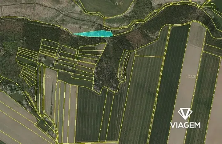 Prodej podílu lesa, Budeč, 2254 m2