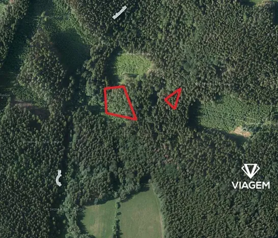 Prodej podílu lesa, Roztoky u Semil, 2737 m2