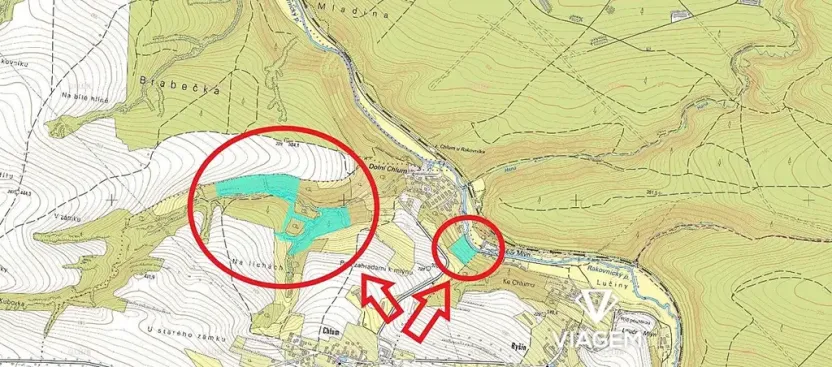 Prodej podílu lesa, Chlum, 8736 m2