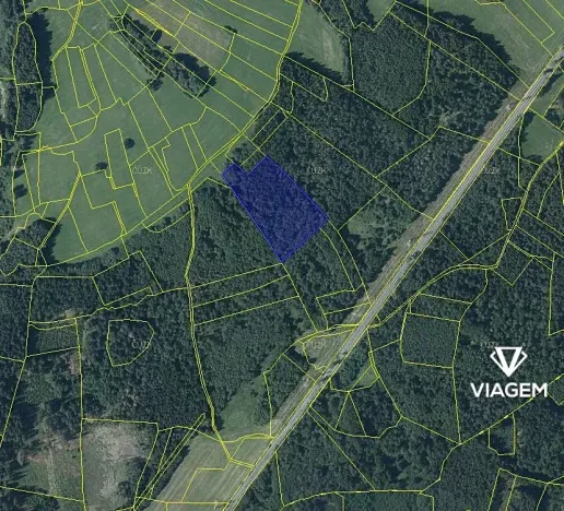 Prodej podílu lesa, Vítanov, 2834 m2