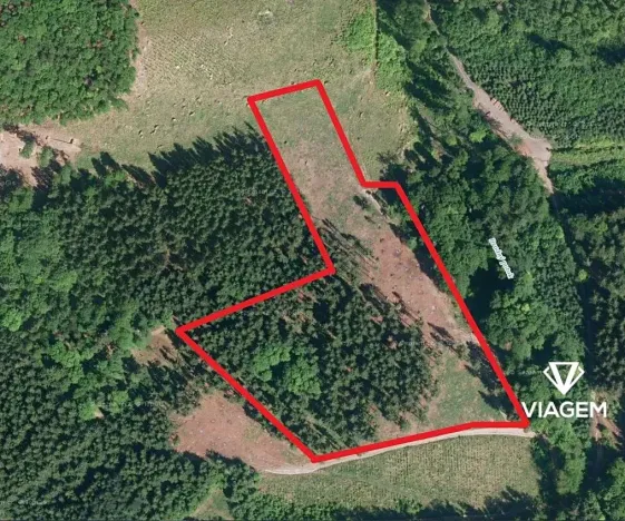 Prodej podílu lesa, Růžďka, 26713 m2