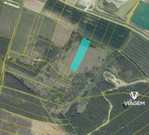 Prodej podílu lesa, Travčice, 1044 m2