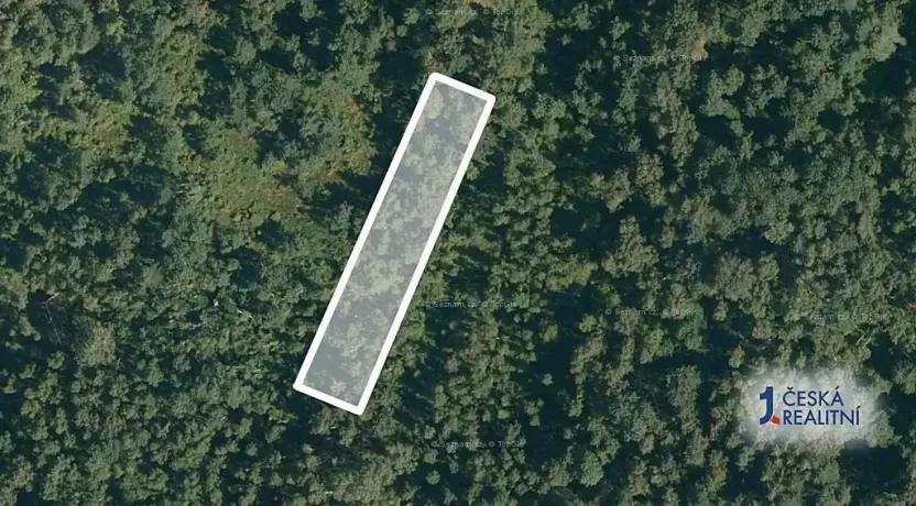 Prodej lesa, Borkovice, 1472 m2