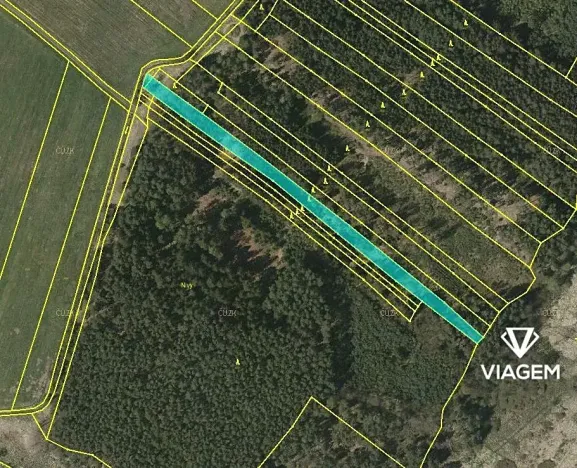 Prodej podílu lesa, Drahov, 3880 m2