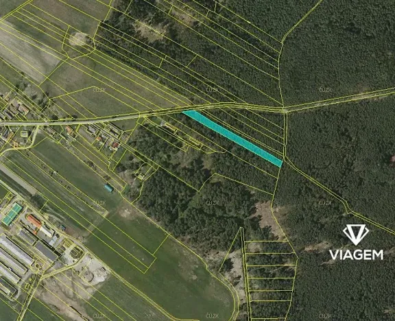 Prodej podílu lesa, Drahov, 3880 m2