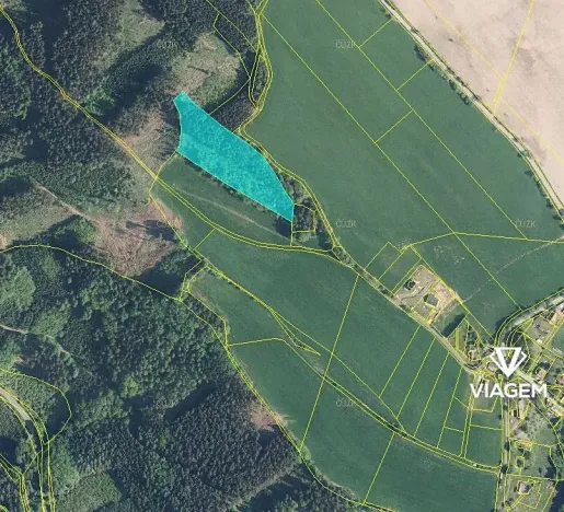 Prodej podílu lesa, Syřenov, 4299 m2