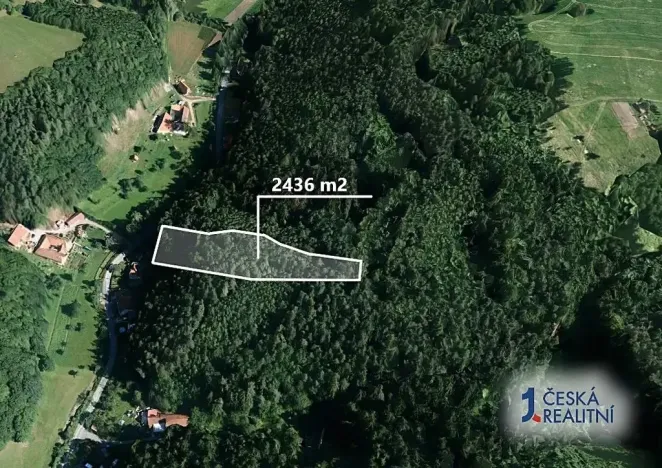 Prodej lesa, Letovice, 2436 m2