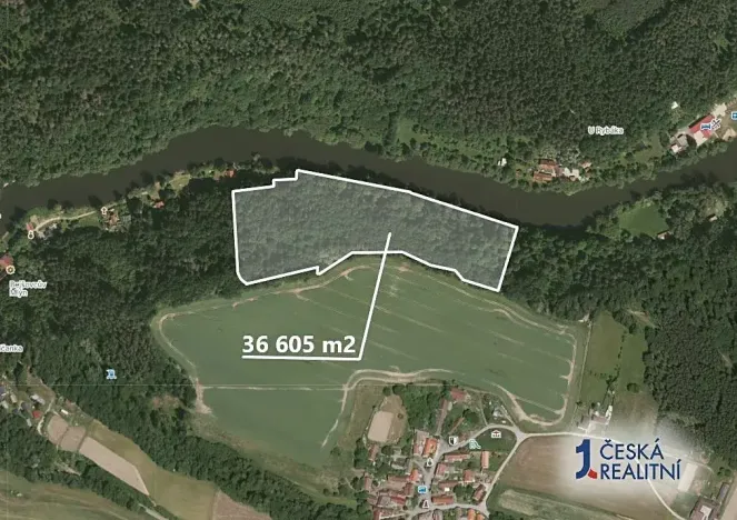 Prodej lesa, Bečice, 36578 m2