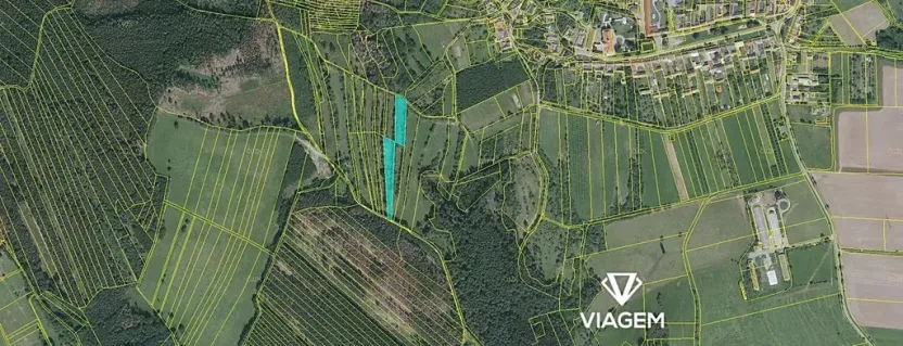 Prodej louky, Borotín, 2410 m2