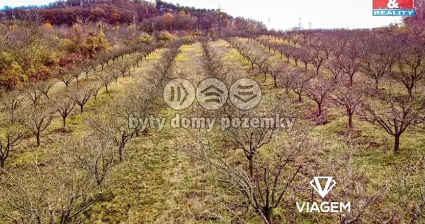 Prodej podílu pole, Roudnice nad Labem, 2009 m2