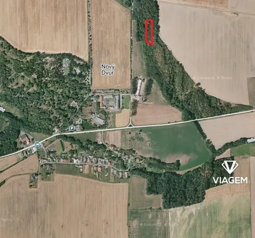 Prodej podílu lesa, Stěbořice, 1852 m2