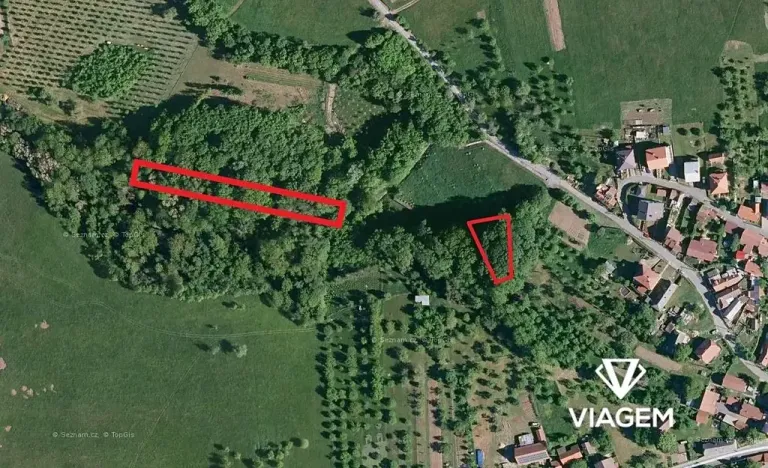 Prodej lesa, Velký Ořechov, 2756 m2