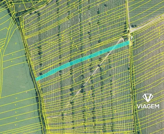 Prodej podílu pole, Boršice, 856 m2